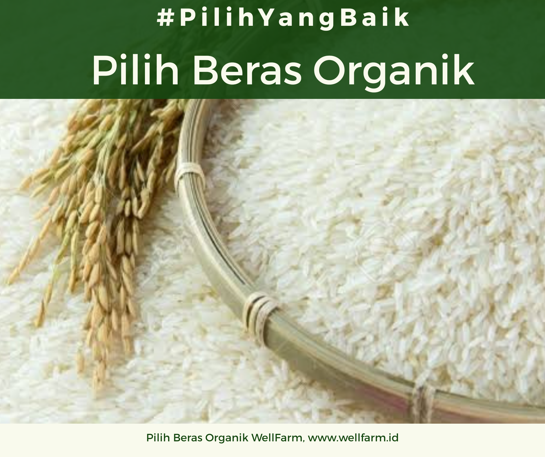 Jual beras organik