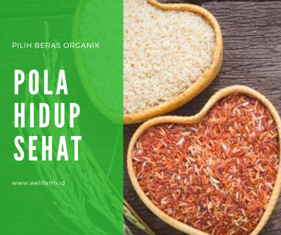 jual Beras organik sehat