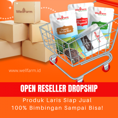 peluang usaha reseller dropship