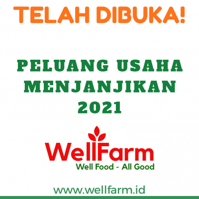 peluang usaha reseller dropship