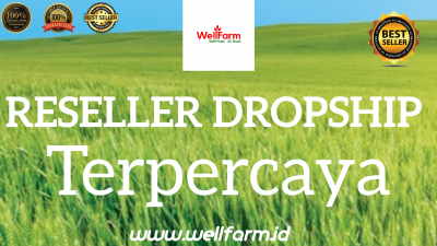 Reseller dropship terpercaya