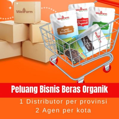 peluang bisnis beras organik wellfarm