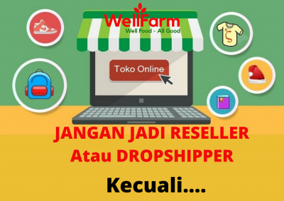 tips reseller dropshipper sukses