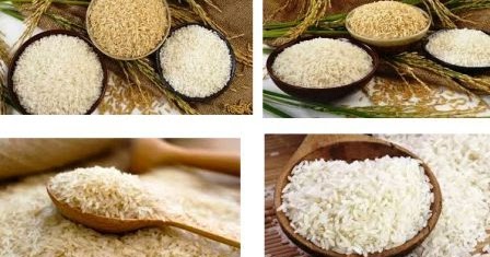 supplier beras organik