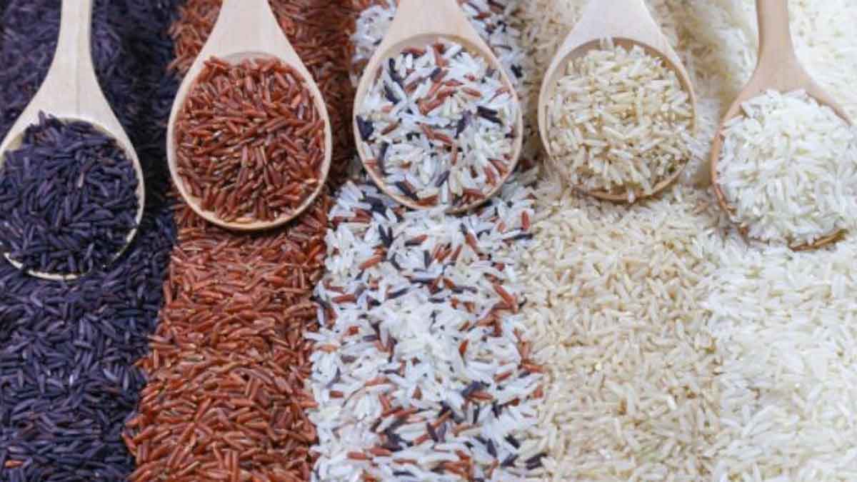 5-Jenis-Beras organik